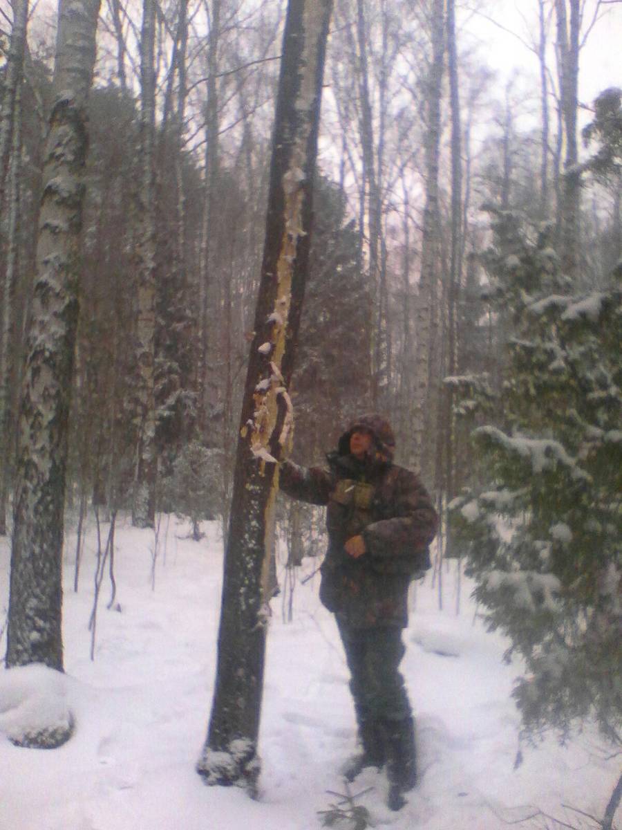 В поисках муромской чупакабры