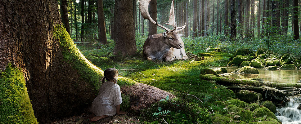 Экологичный Загородный