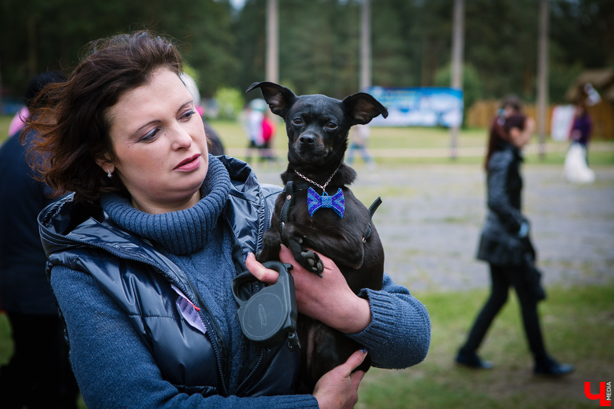 Собачьи нежности во Владимире: самые любвеобильные участники «Собаки-обнимаки»
