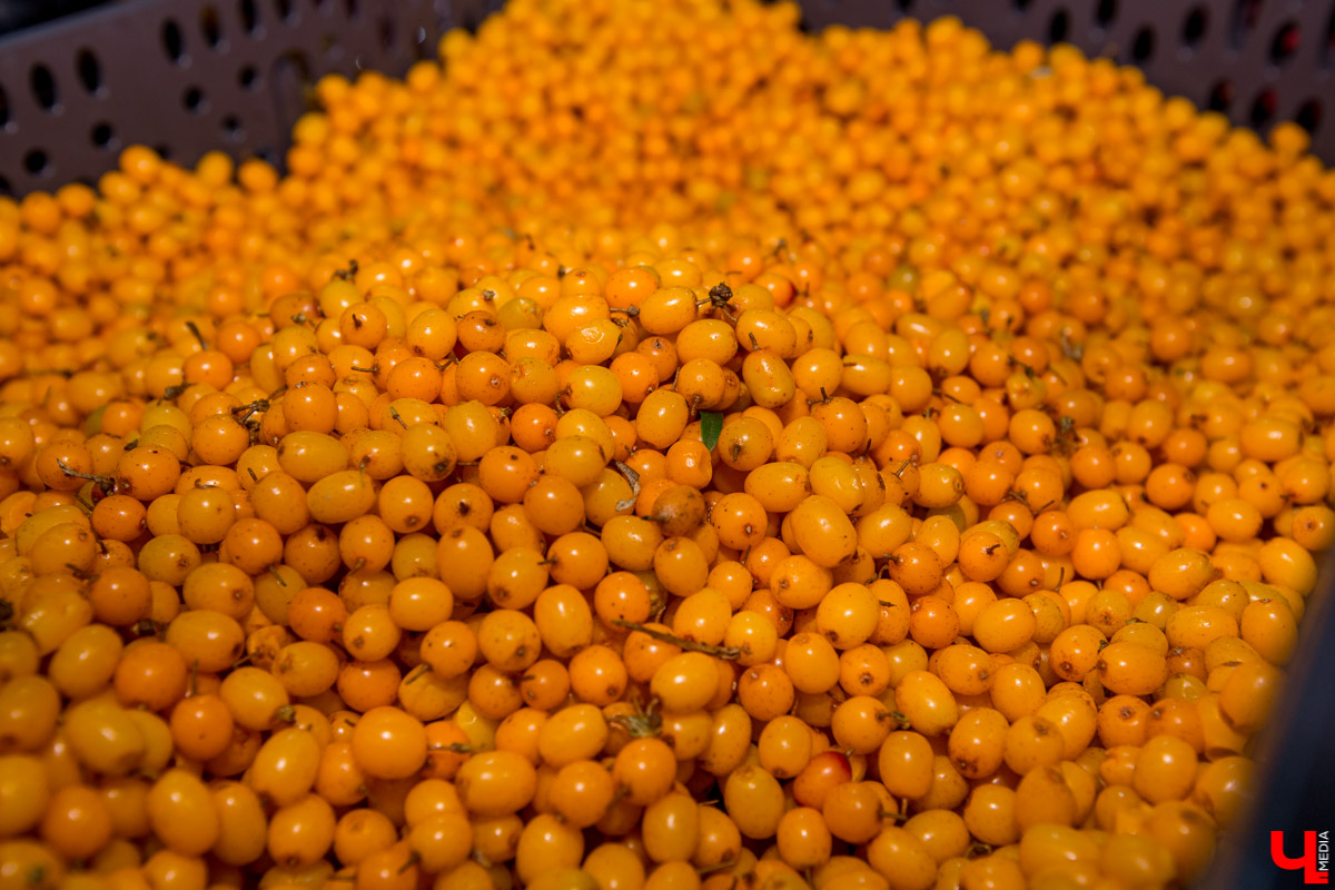 Шеф-повар Дмитрий Орловский приготовил для вегетарианки и марафонца Анны Гавриловой безглютеновый десерт