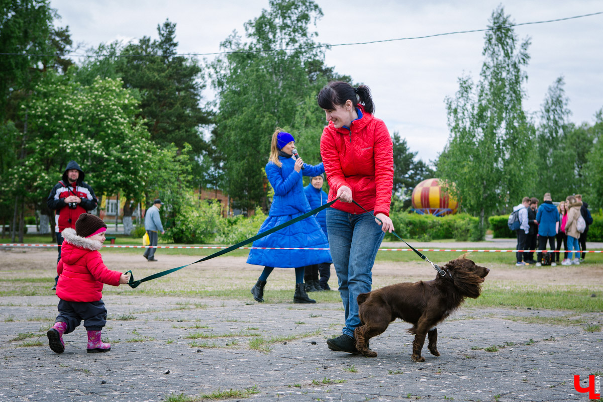 Собачьи нежности во Владимире: самые любвеобильные участники «Собаки-обнимаки»