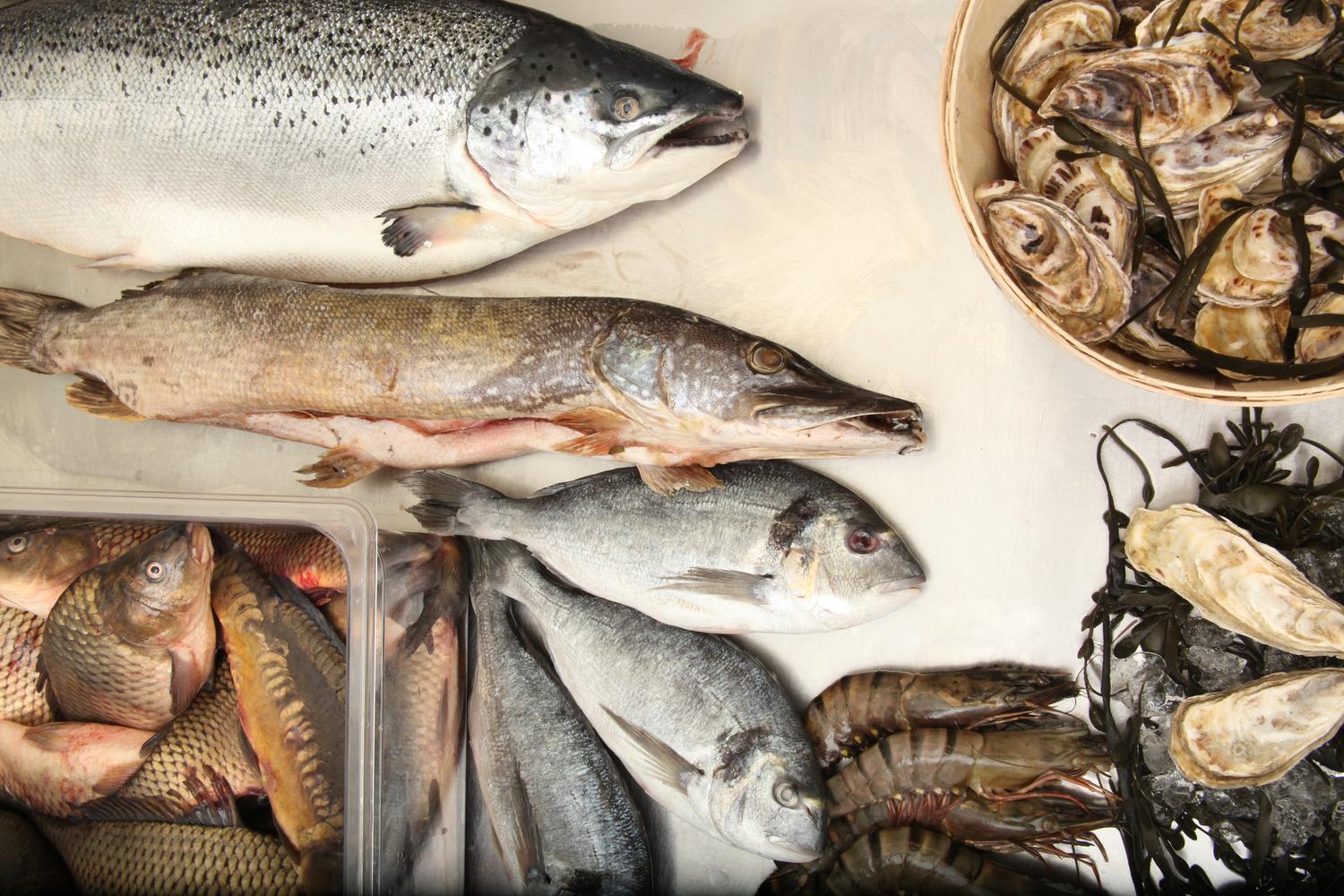 Рыбное меню в ресторане "Круча"