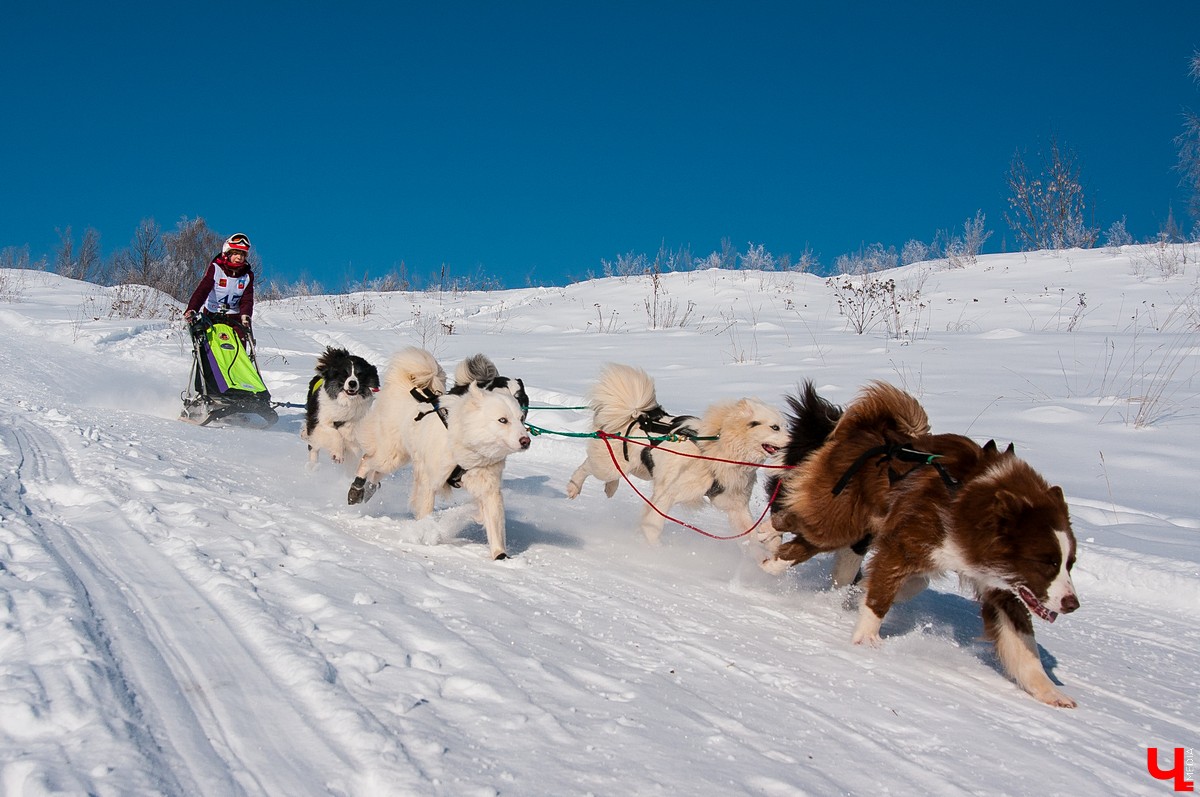 «Суздальский луг» 2018
