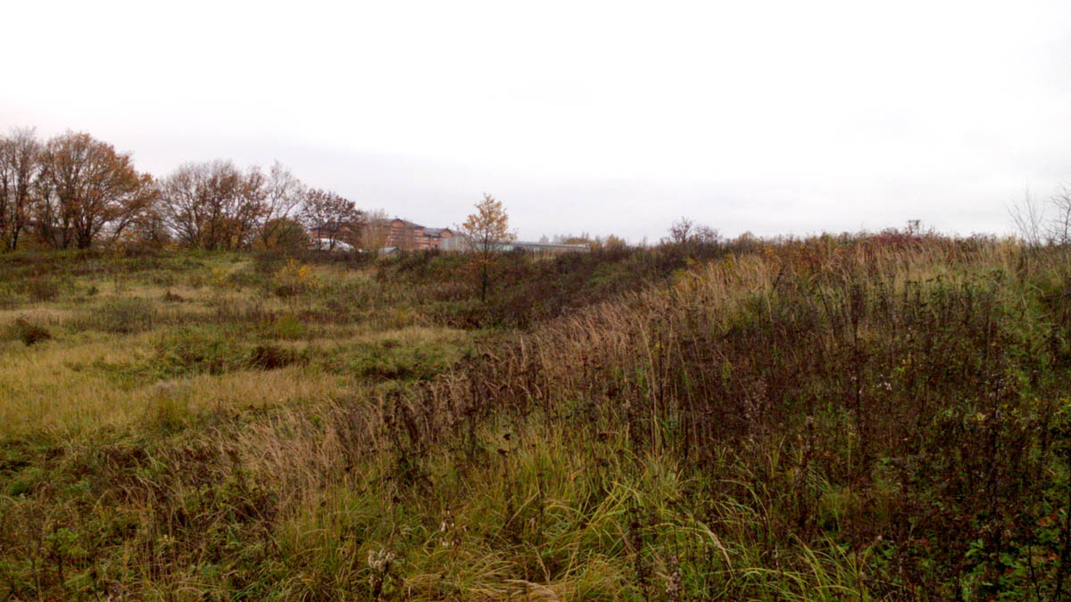 На восточной окраине Владимира есть непримечательное большое поле, на котором располагается стоянка Сунгирь. Это стоянка древнего человека. Алексей Алексеев рассказал «Ключ-Медиа», в каком состоянии находится памятник