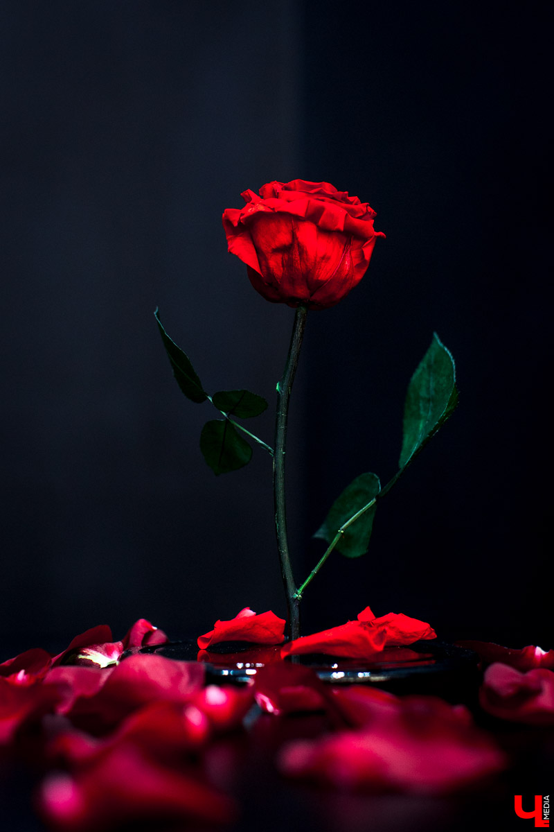 Салон флористики “Краснова” во Владимире