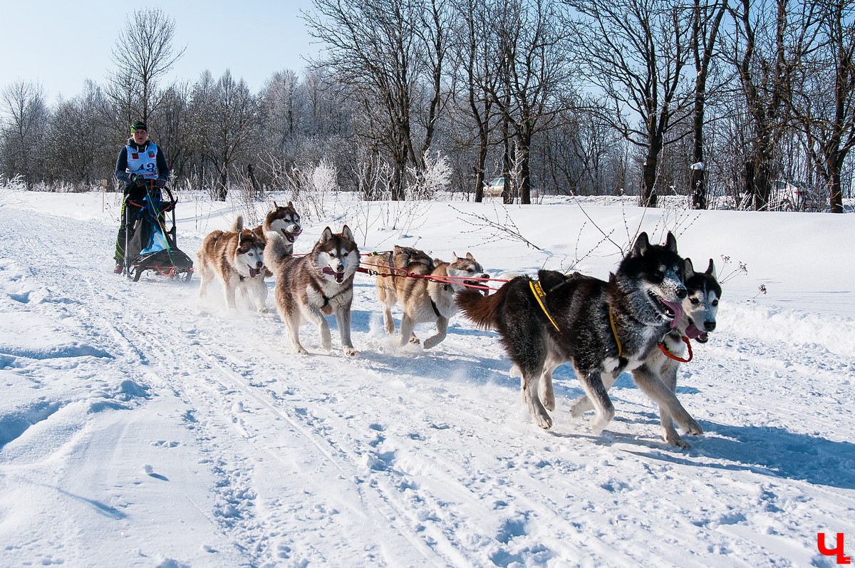 «Суздальский луг» 2018