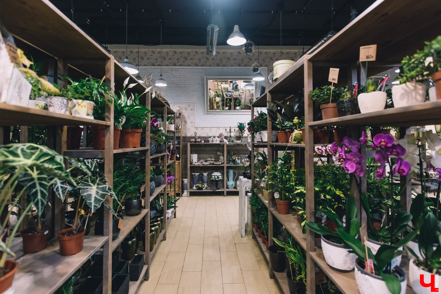 Флора Центр