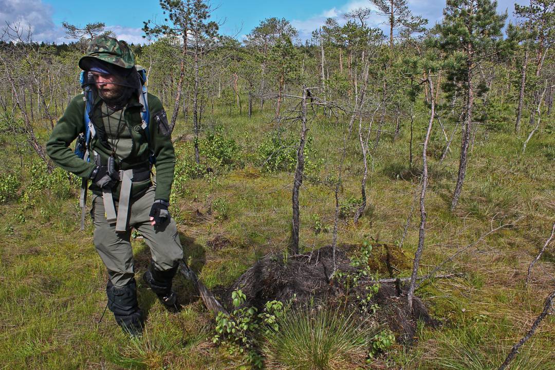 Странная поляна