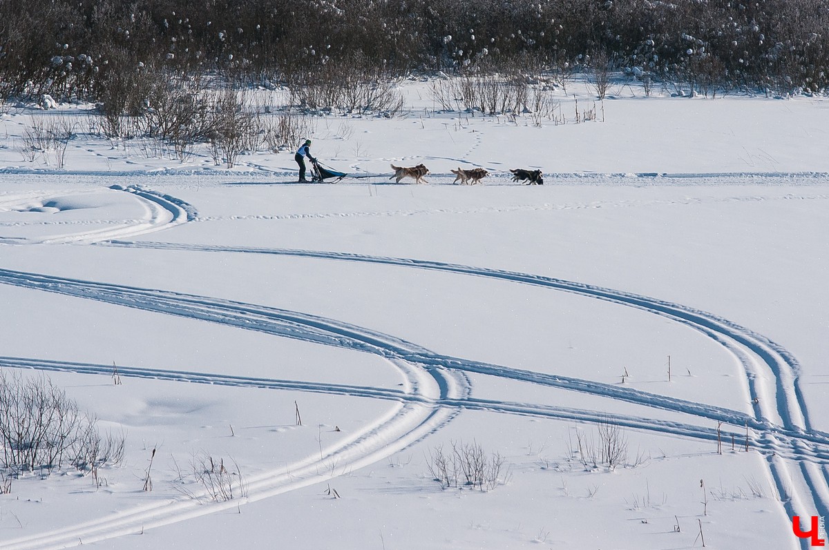 «Суздальский луг» 2018
