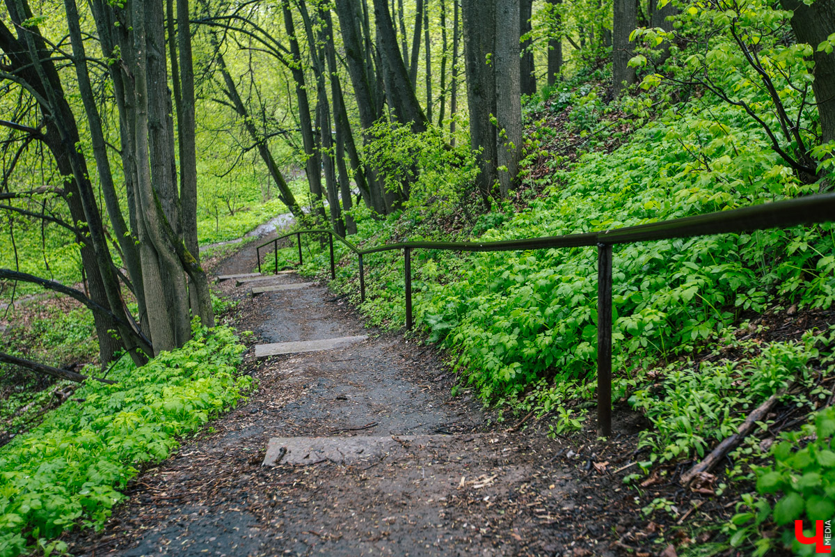 Бармен-дегустатор определил самую вкусную родниковую воду во Владимире