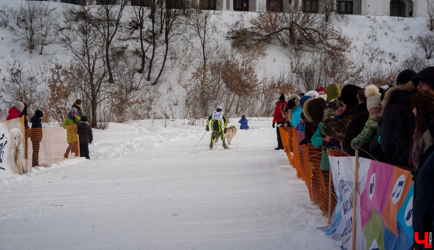 Гонки на собачьих упряжках в Суздале Гонки на собачьих упряжках в Суздале