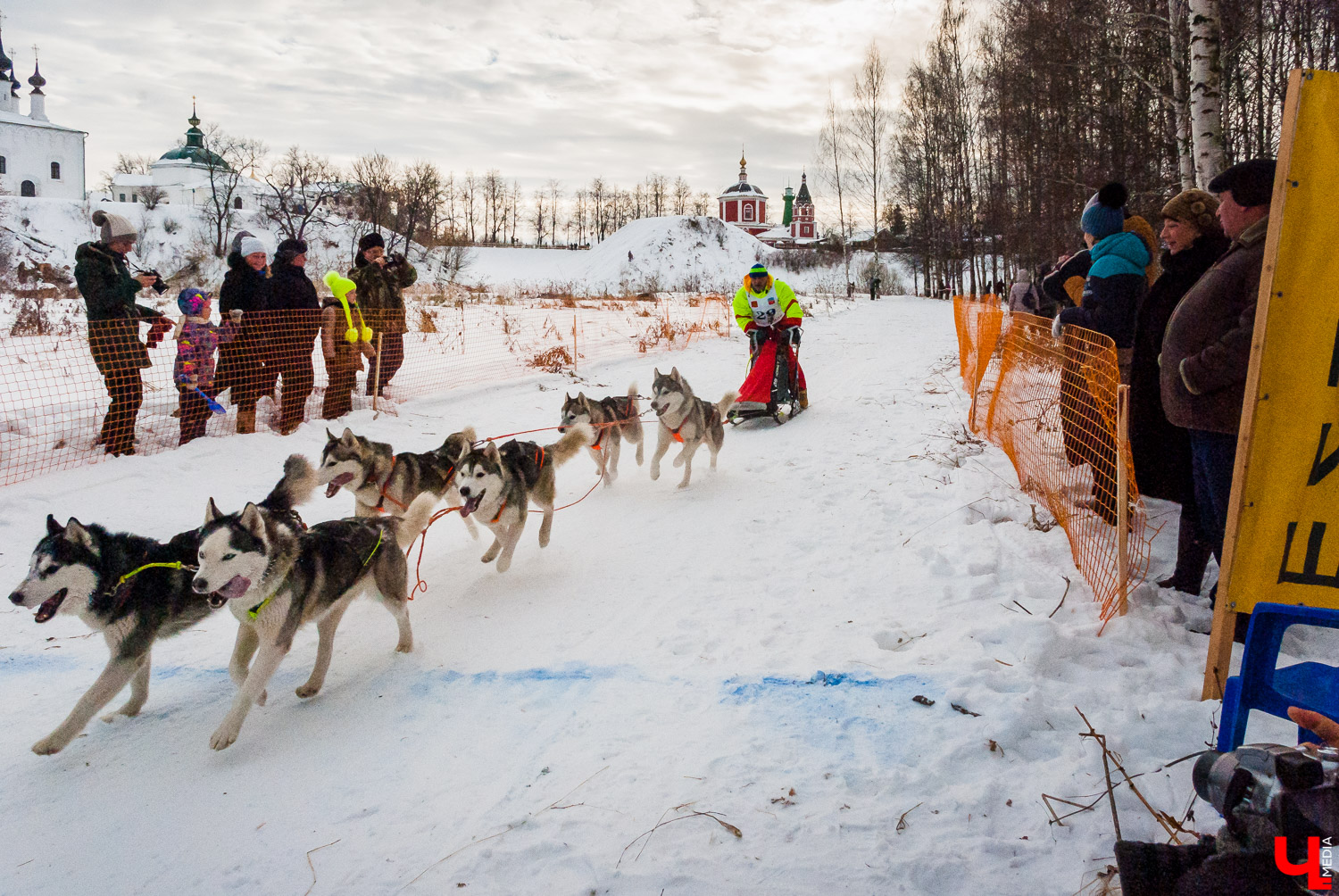 Гонки на собачьих упряжках в Суздале Гонки на собачьих упряжках в Суздале
