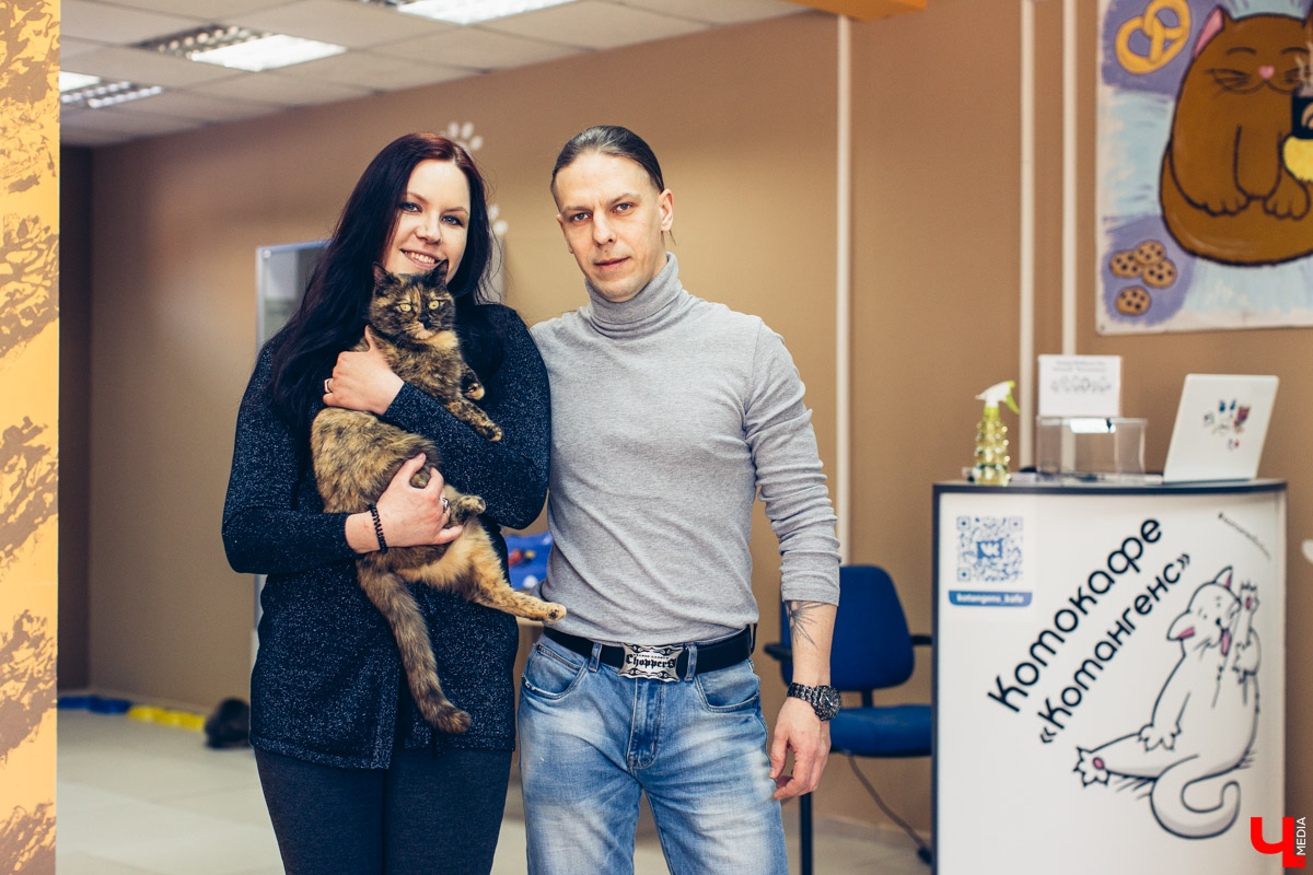 Котокафе «Котангенс» во Владимире