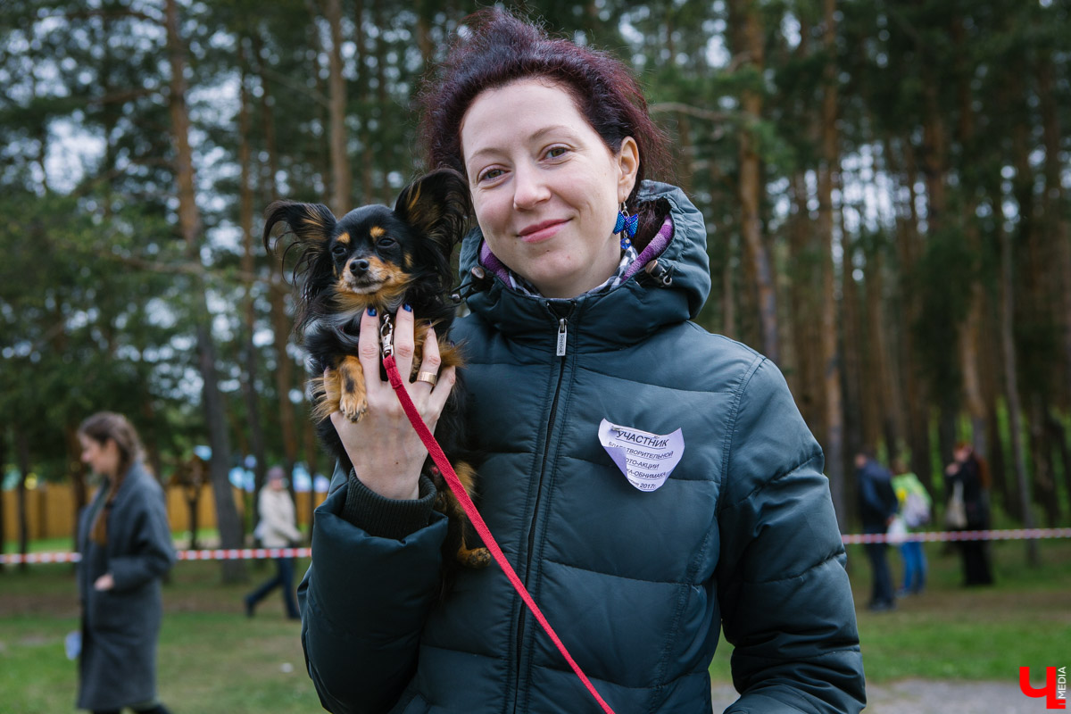 Собачьи нежности во Владимире: самые любвеобильные участники «Собаки-обнимаки»