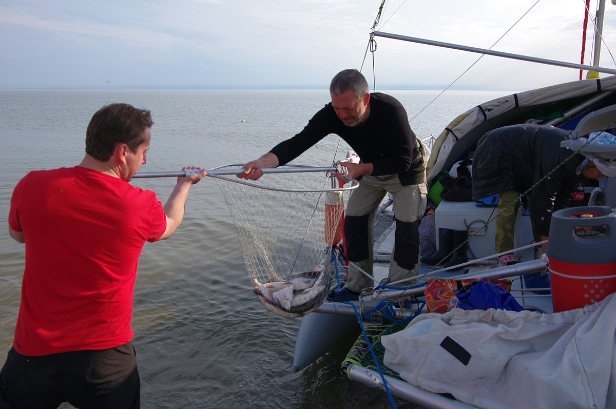 Капитан тримарана “Пола” Дмитрий Козлов, совершивший путешествие из Баренцева в Белое море, рассказал о том, страшно ли двое суток идти в шторм, стоит ли бояться медведей и какая рыба клюет в северном океане