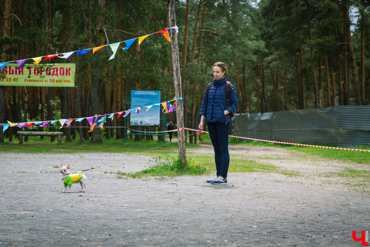 Собачьи нежности во Владимире: самые любвеобильные участники «Собаки-обнимаки»
