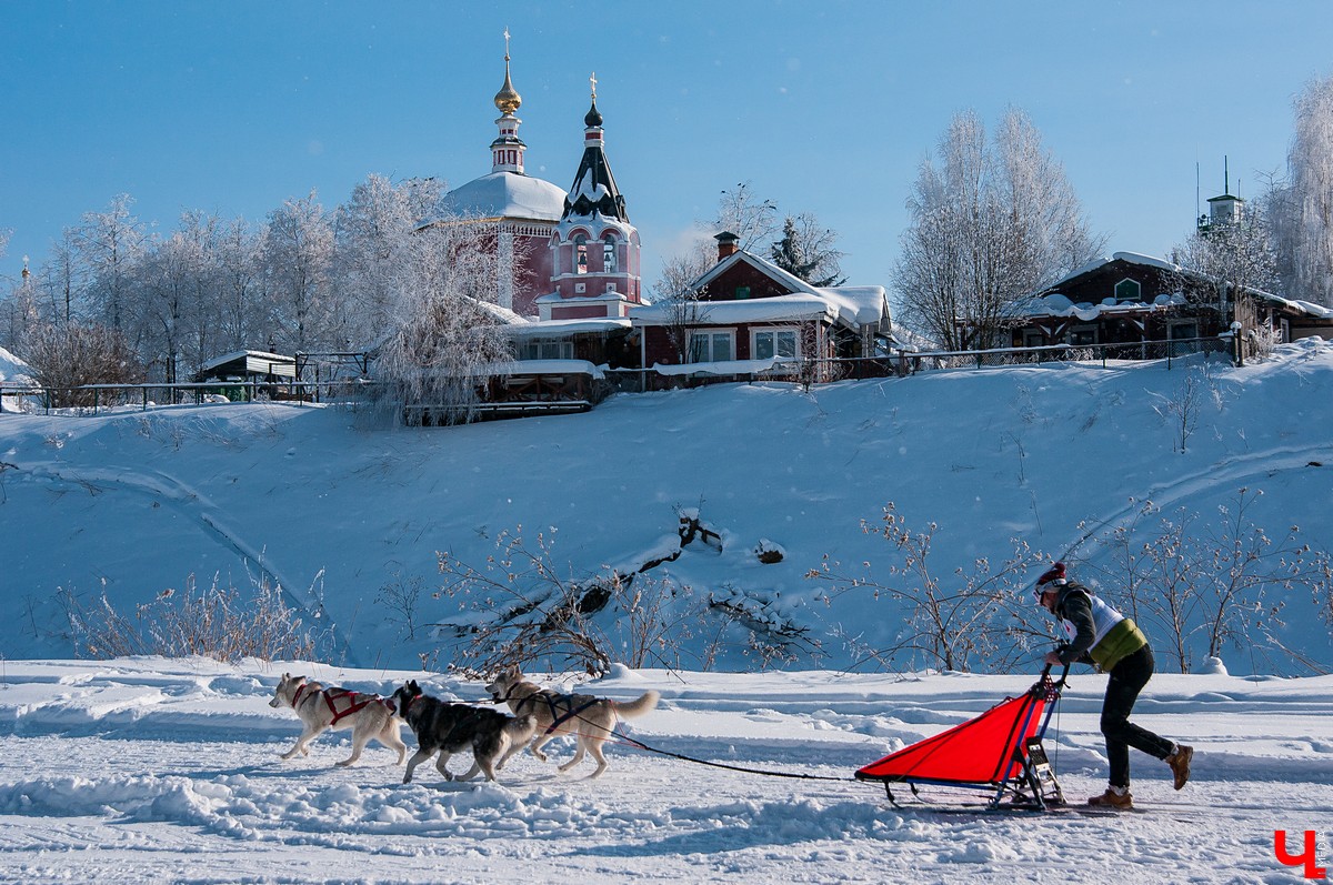 «Суздальский луг» 2018