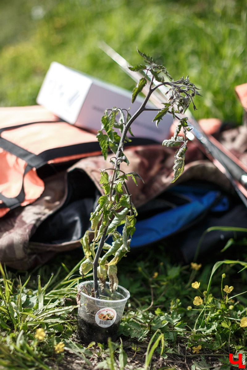 Двухэтажный плот во Владимире