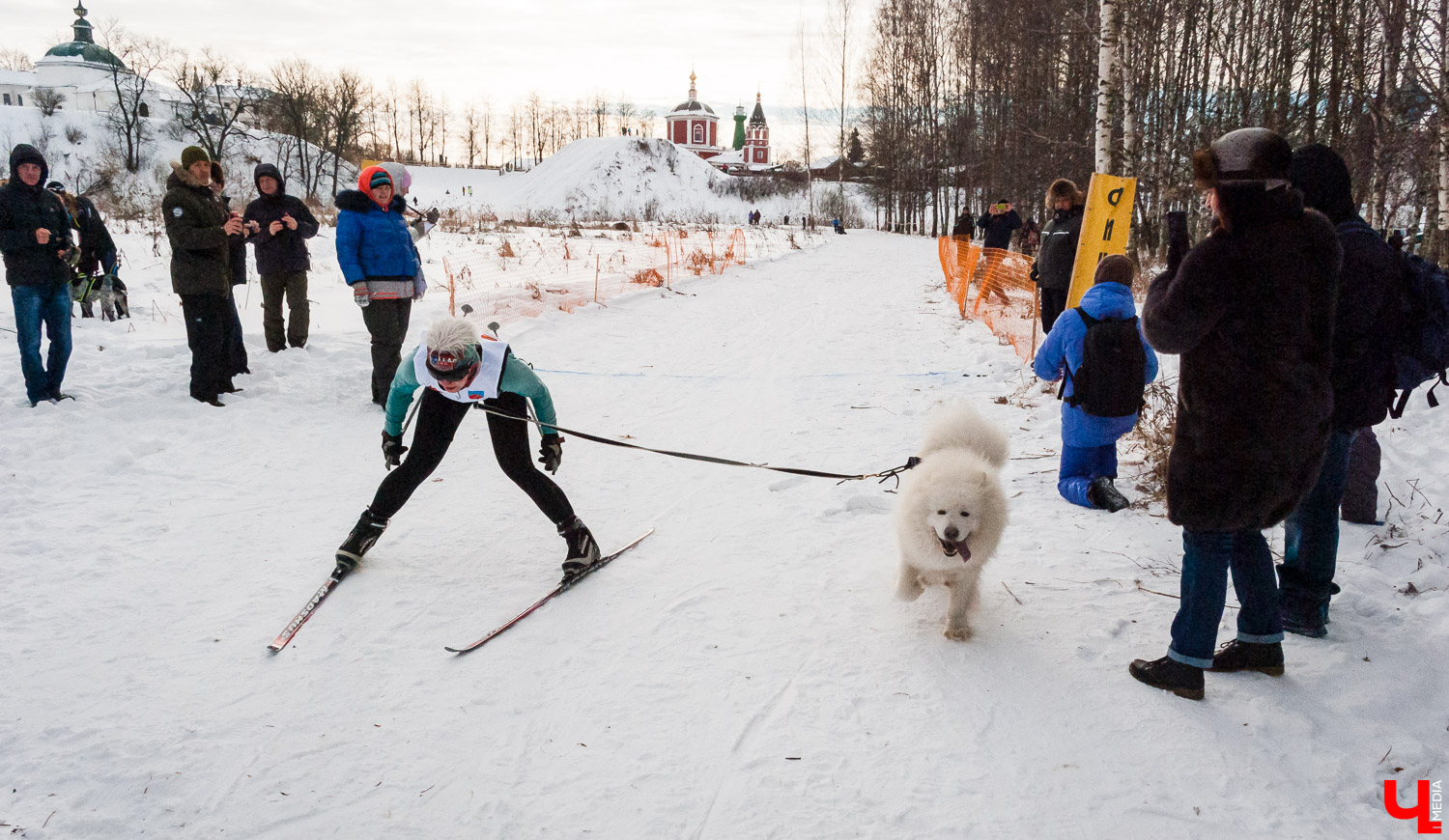 Гонки на собачьих упряжках в Суздале Гонки на собачьих упряжках в Суздале