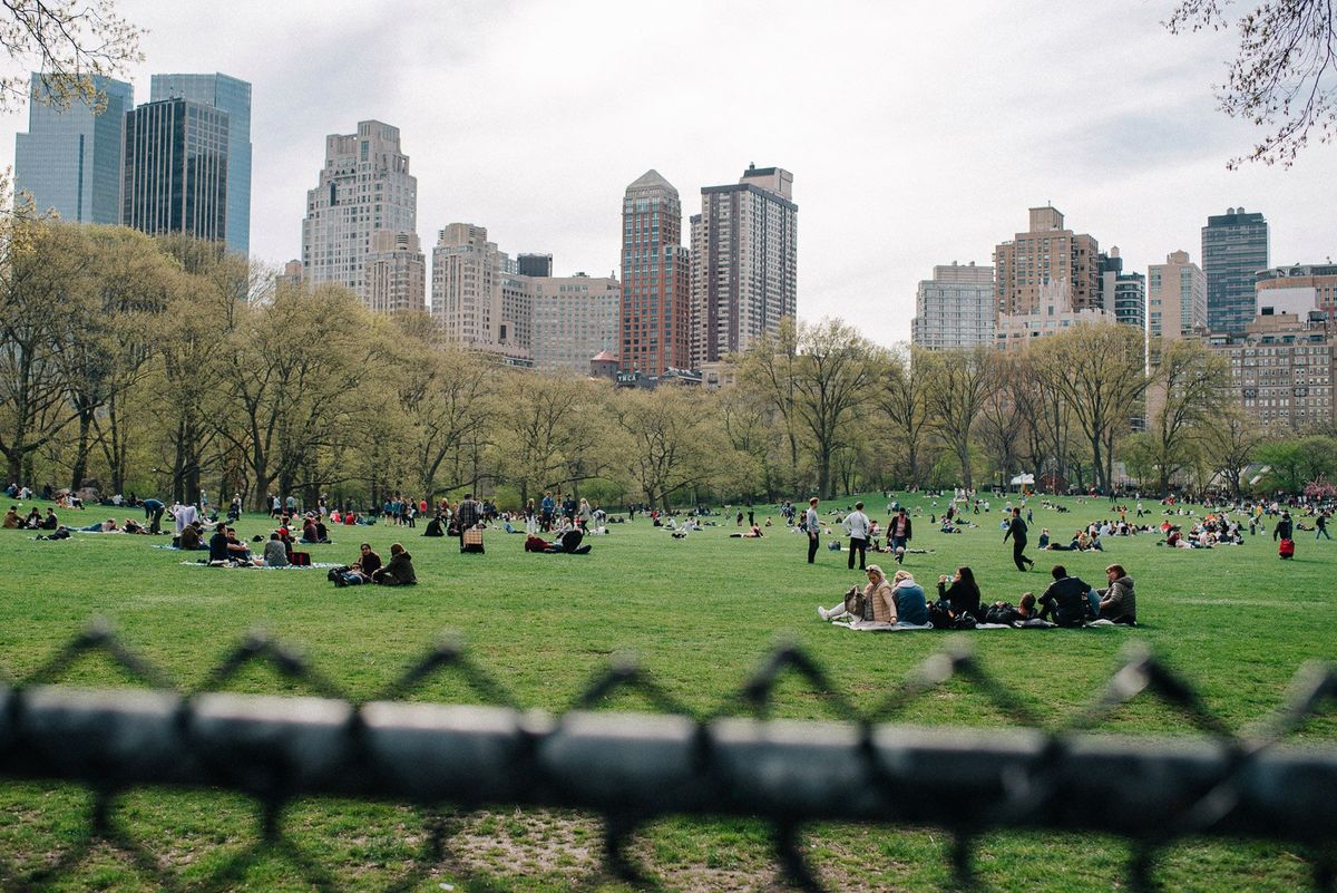 Владимирцы в Нью-Йорке. Чем дышат Бруклин и Манхэттен?