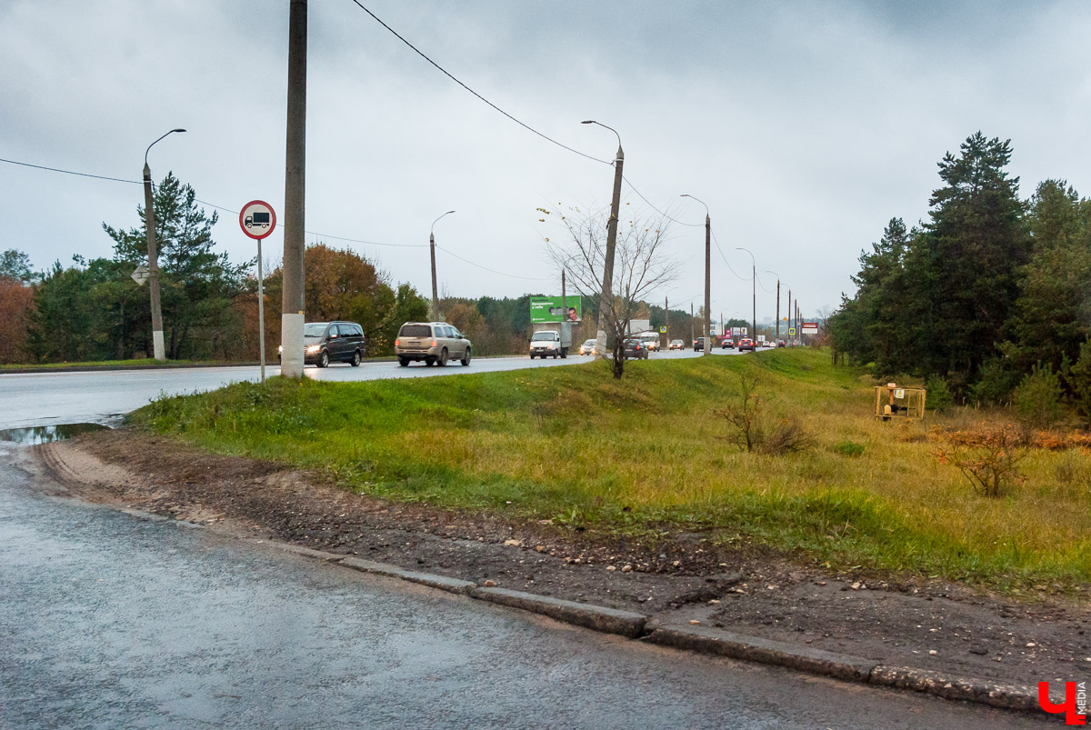 Загородный парк с Ярославом Чесноковым