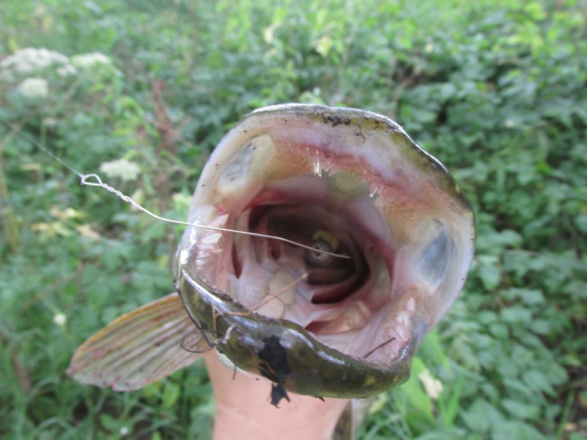 Владимирский блогер-рыболов о рыбных местах и этике лова