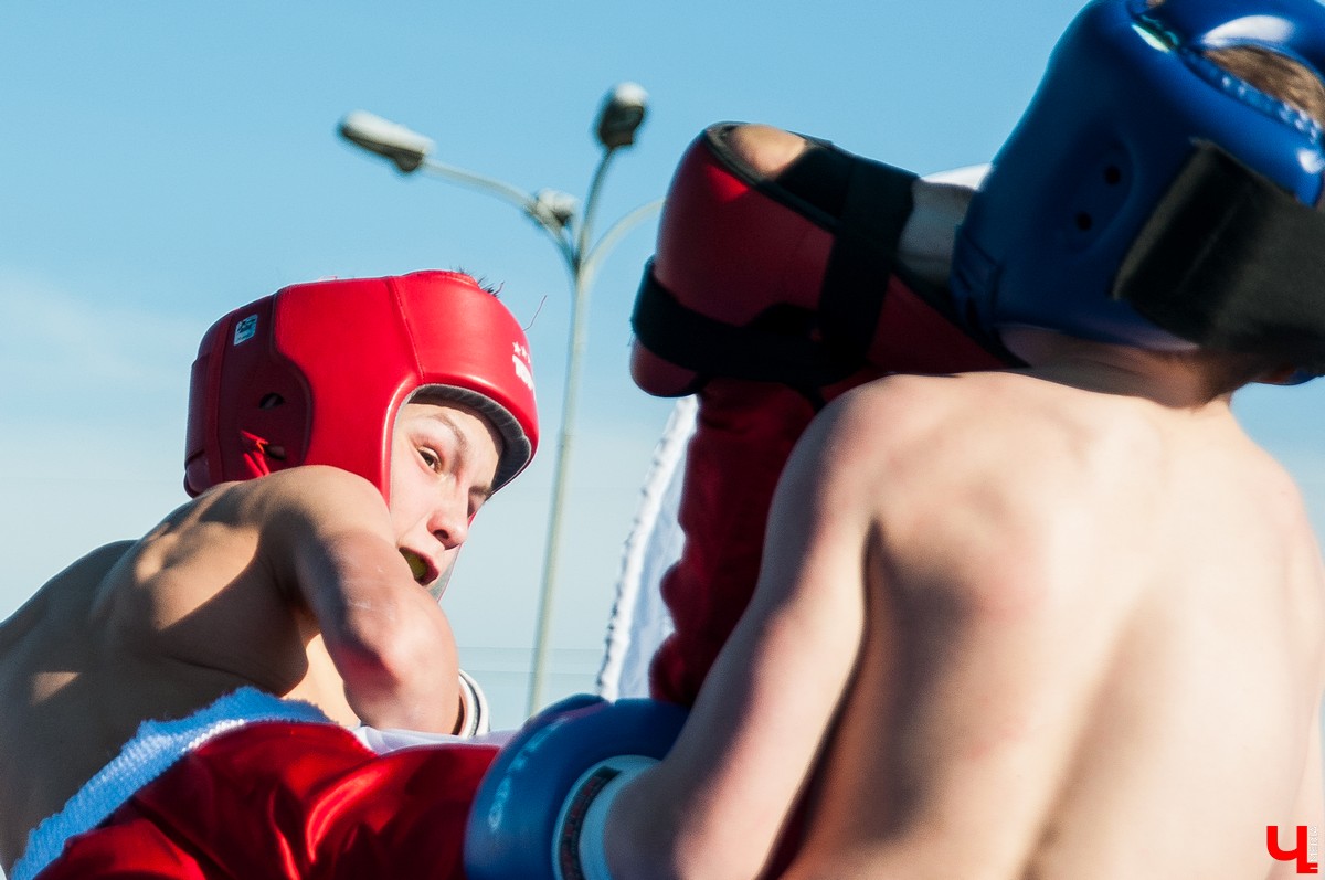 Чемпионат по кикбоксингу во Владимире
