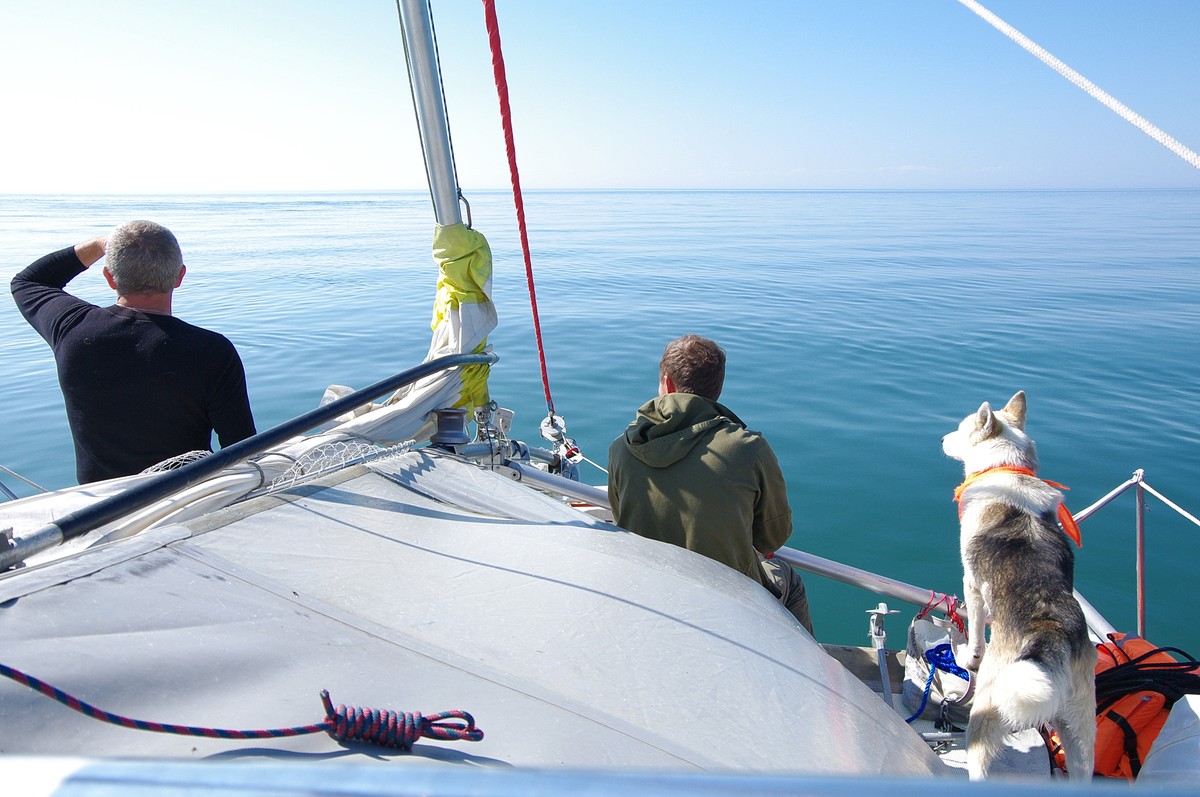 Капитан тримарана “Пола” Дмитрий Козлов, совершивший путешествие из Баренцева в Белое море, рассказал о том, страшно ли двое суток идти в шторм, стоит ли бояться медведей и какая рыба клюет в северном океане