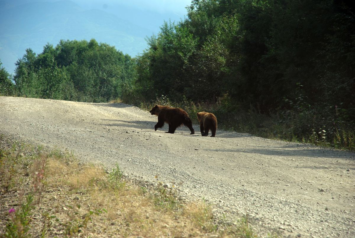 Владимирский фотограф Алексей Данилов совершил путешествие на Камчатку. Он поделился впечатлениями о своей поездке и дал советы, как подготовиться к путешествию на полуостров