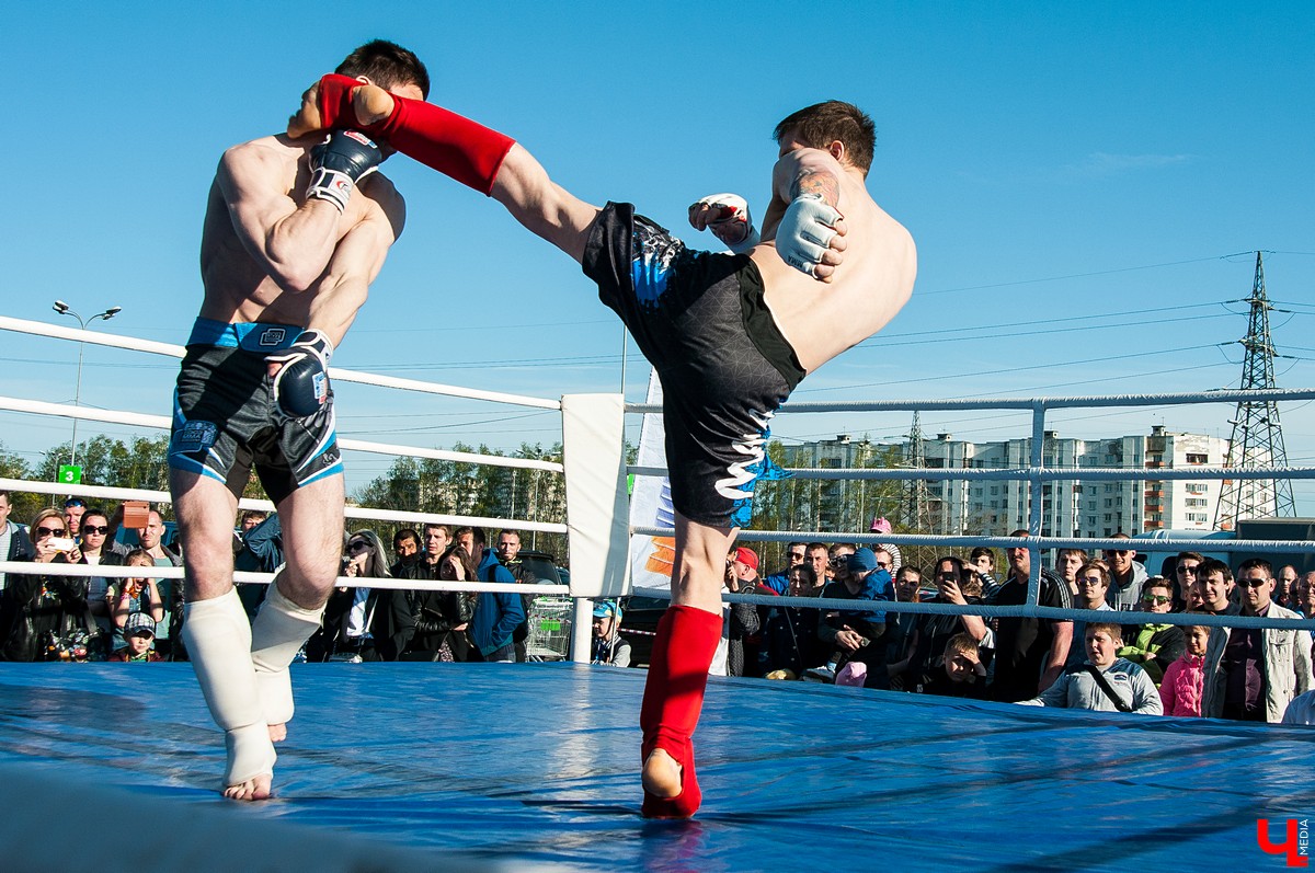 Чемпионат по кикбоксингу во Владимире