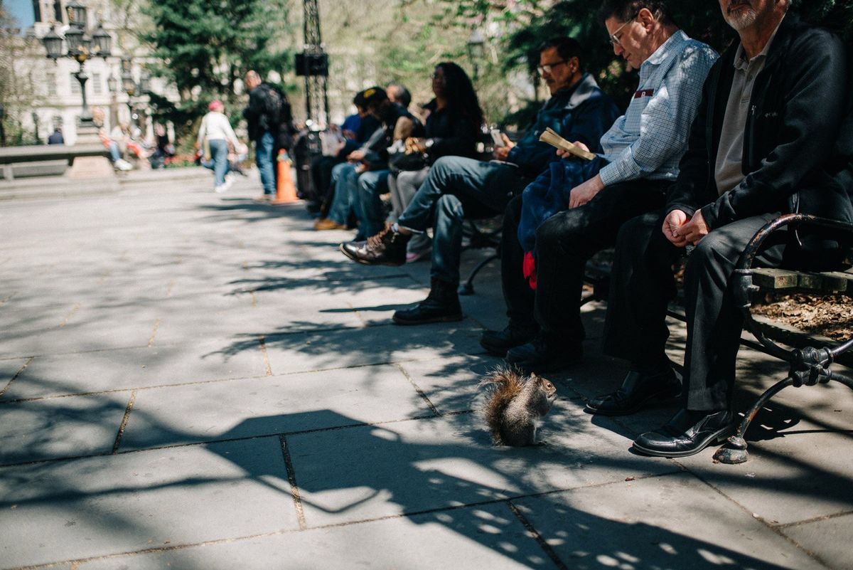Владимирцы в Нью-Йорке. Чем дышат Бруклин и Манхэттен?