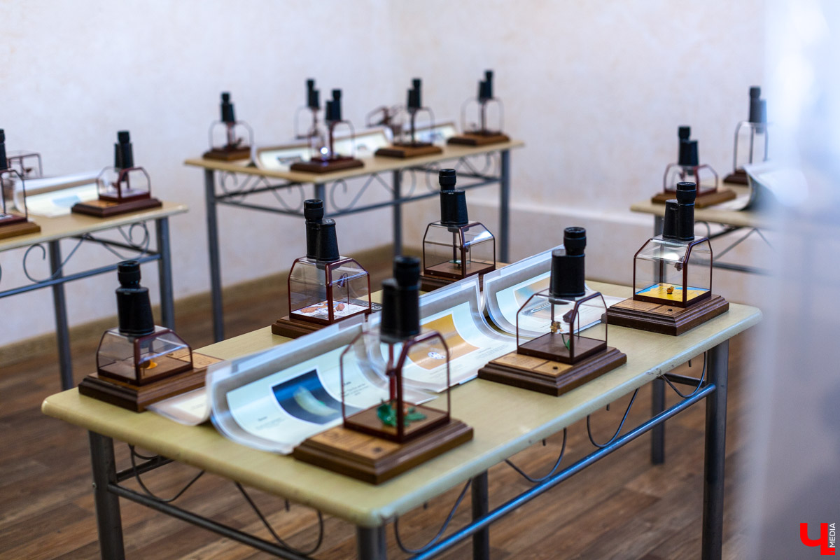 До 18 августа во Владимире можно увидеть подкованную блоху и другие микроминиатюры русского мастера Владимира Анискина. Корреспондент “Ключ-Медиа” побывал на выставке и сделал фоторепортаж