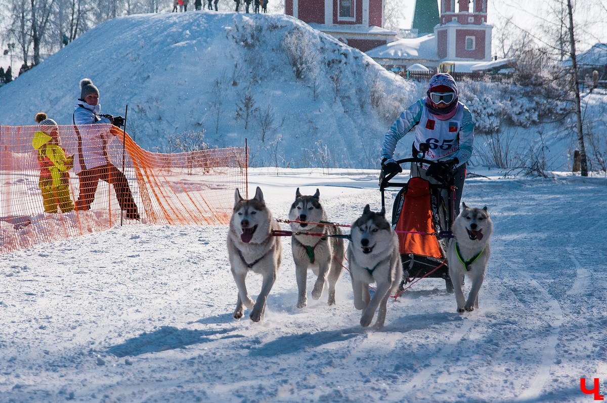 «Суздальский луг» 2018