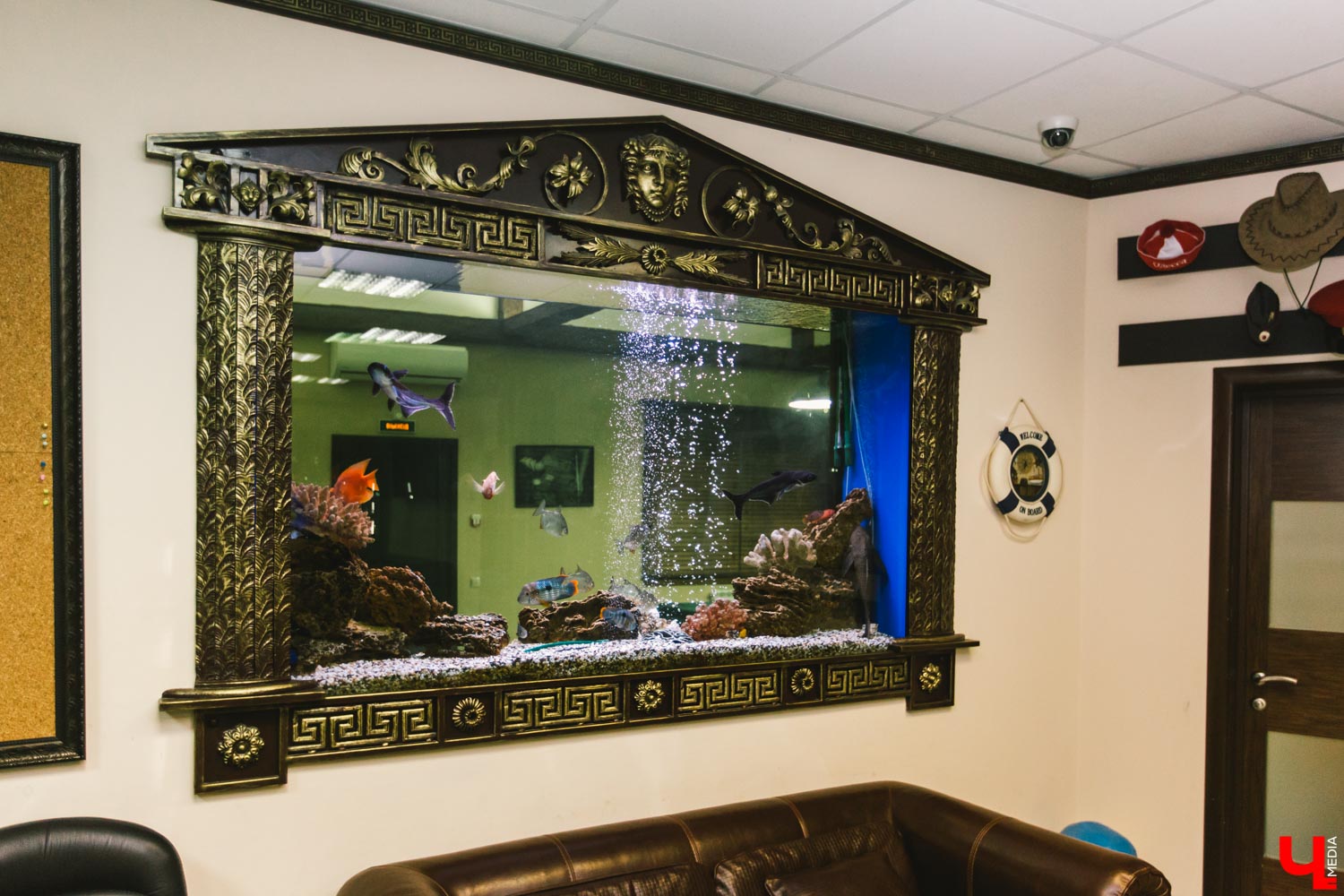 Офис Александра Доркунова