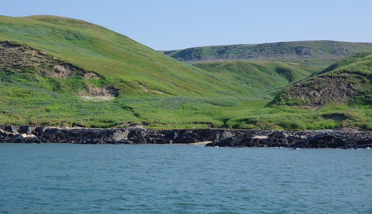 Капитан тримарана “Пола” Дмитрий Козлов, совершивший путешествие из Баренцева в Белое море, рассказал о том, страшно ли двое суток идти в шторм, стоит ли бояться медведей и какая рыба клюет в северном океане