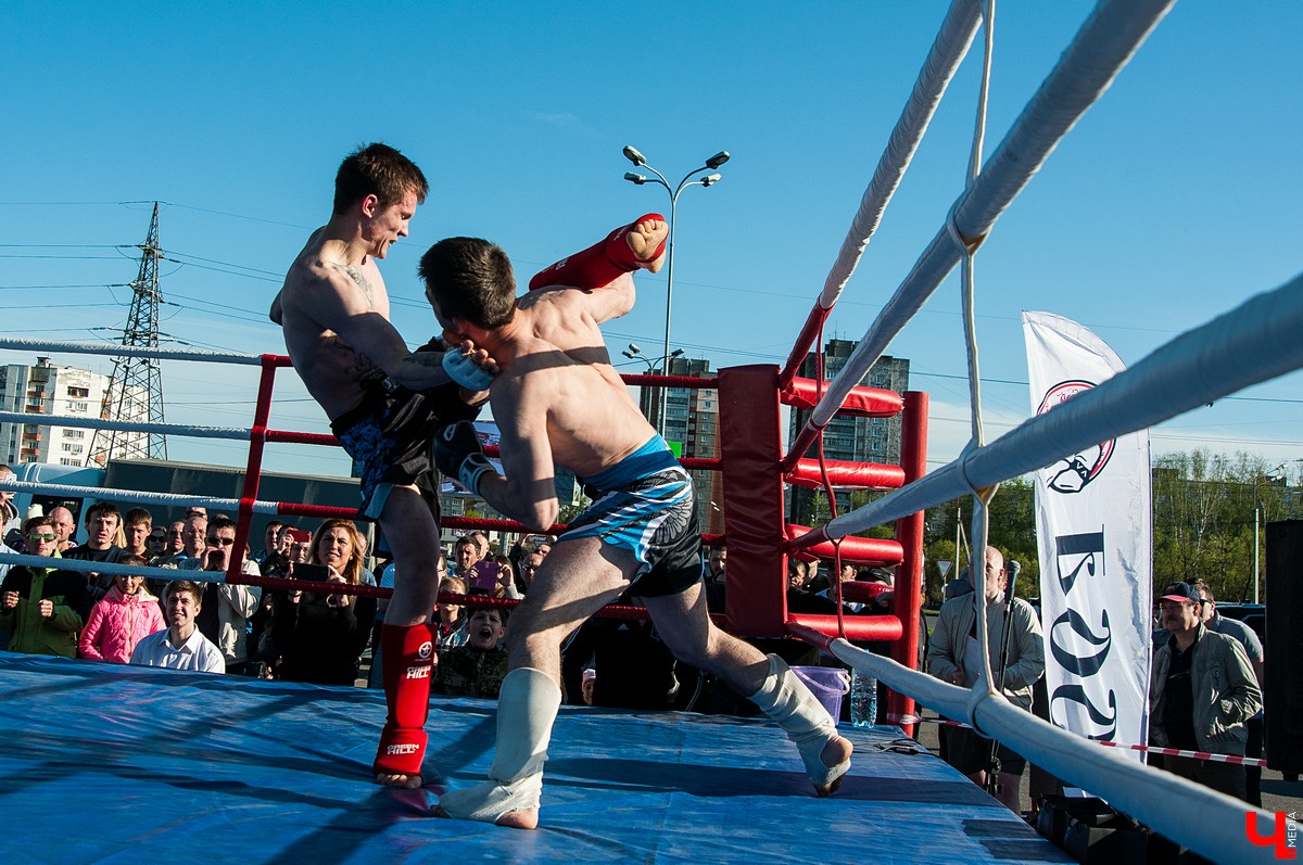 Чемпионат по кикбоксингу во Владимире