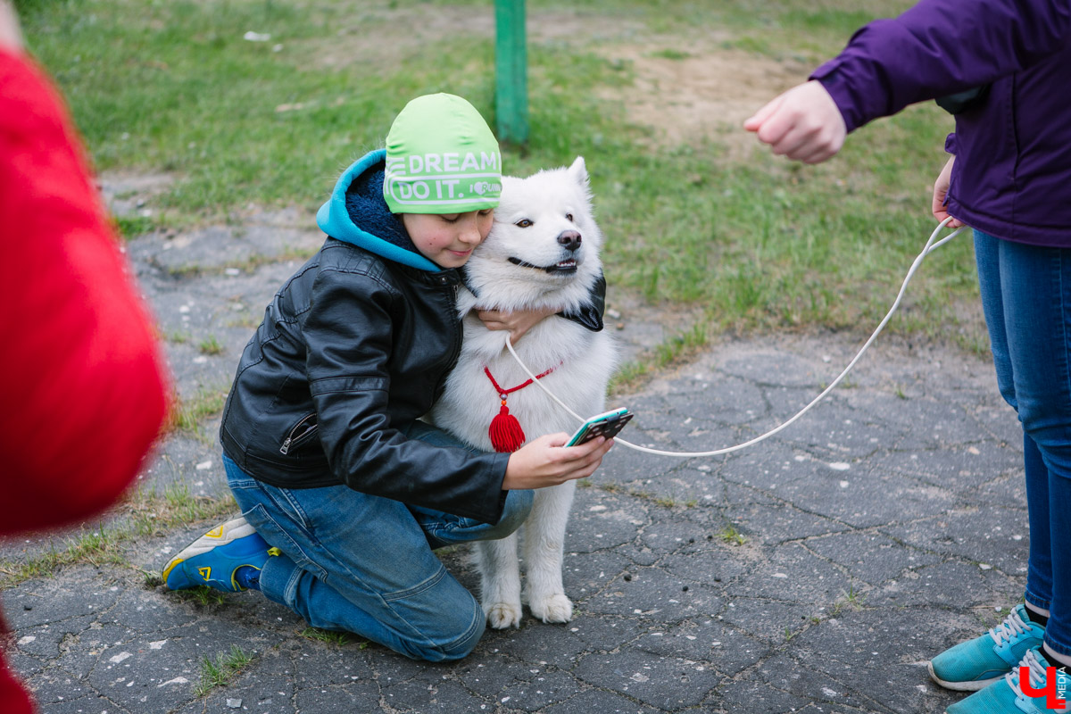 Собачьи нежности во Владимире: самые любвеобильные участники «Собаки-обнимаки»