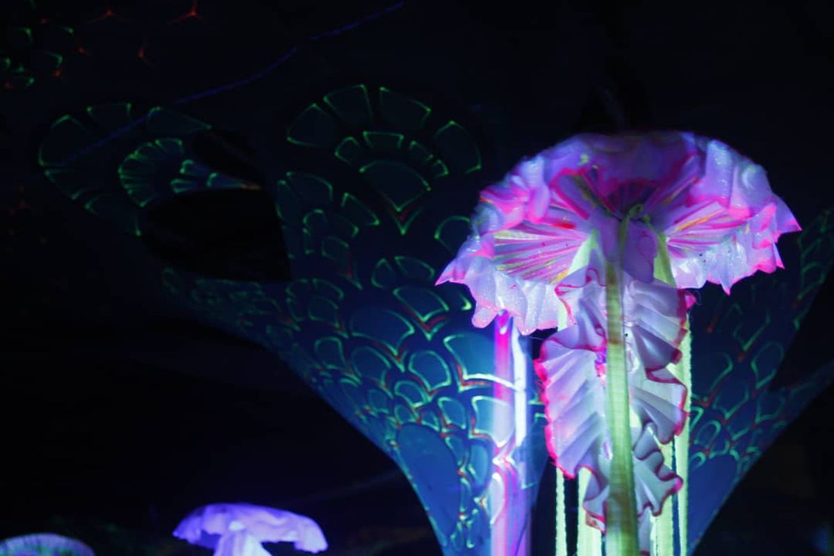 Фестиваль «Portal» в Арамболе