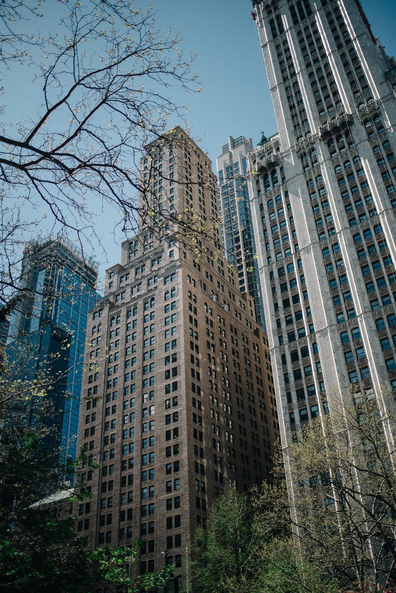 Владимирцы в Нью-Йорке. Чем дышат Бруклин и Манхэттен?