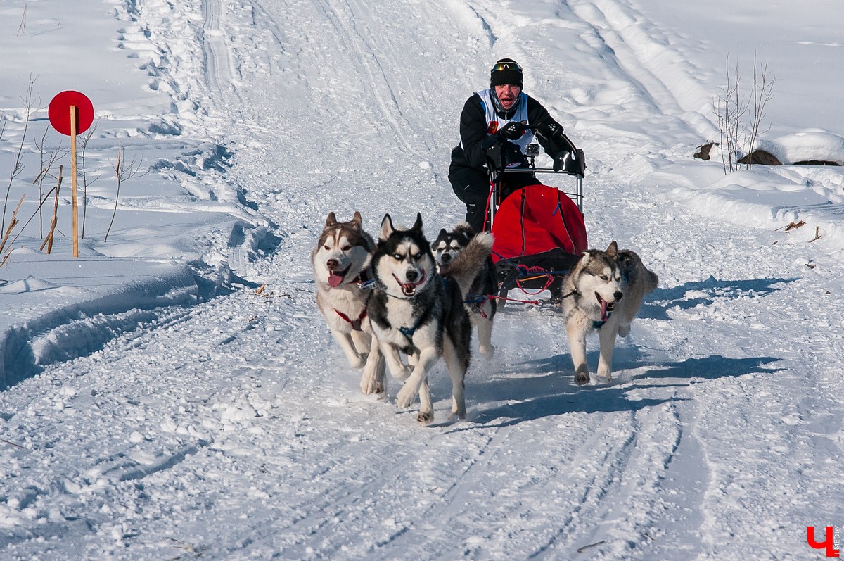 «Суздальский луг» 2018