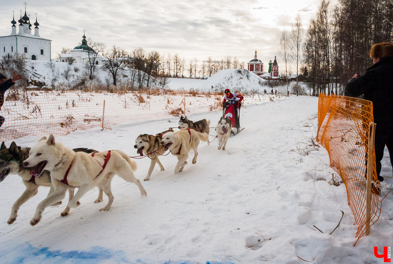 Гонки на собачьих упряжках в Суздале Гонки на собачьих упряжках в Суздале