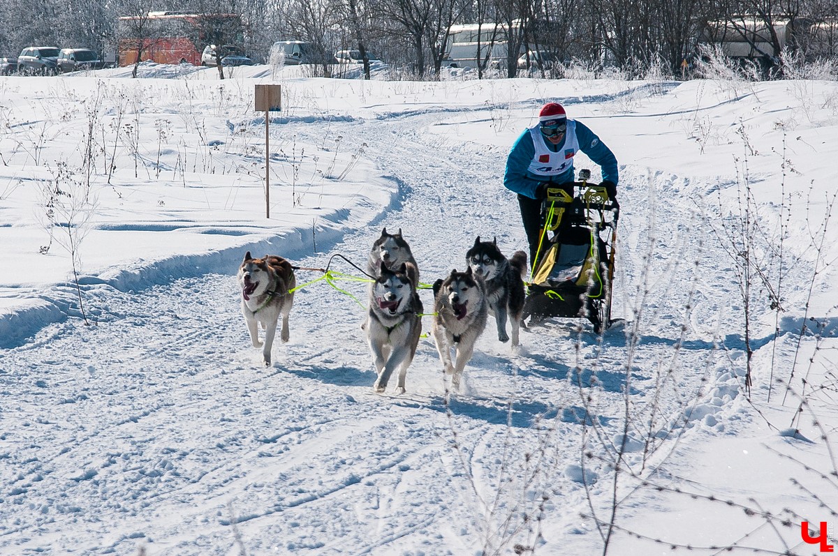 «Суздальский луг» 2018