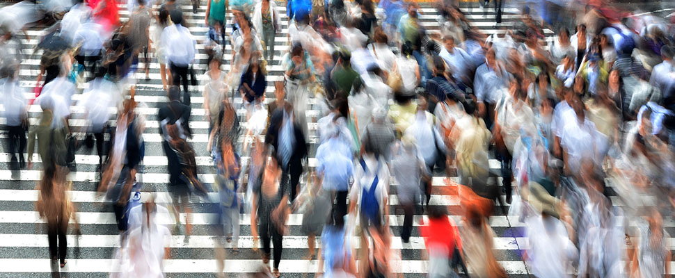 Популярная Нижняя Дуброва