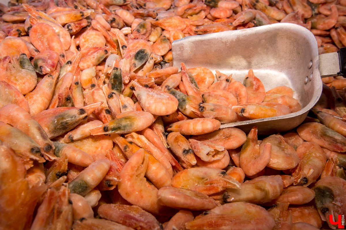 Шеф Дмитрий Орловский показал певцу Дмитрию Захария, как приготовить из тыквы крем-суп и чизкейк с меренгой