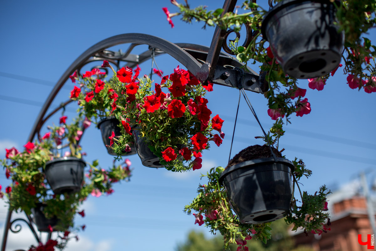 Арки для влюбленных в центре Владимира