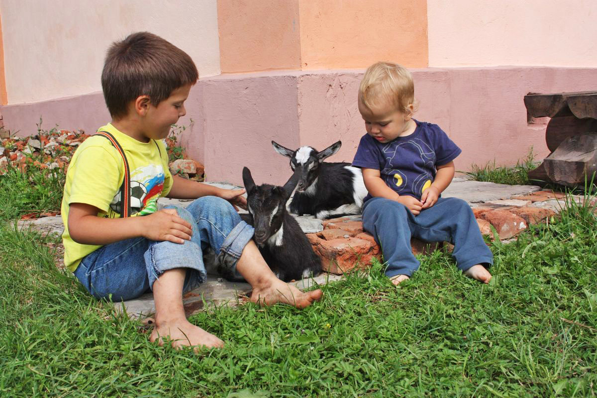 Дети Андрея играют на свежем воздухе