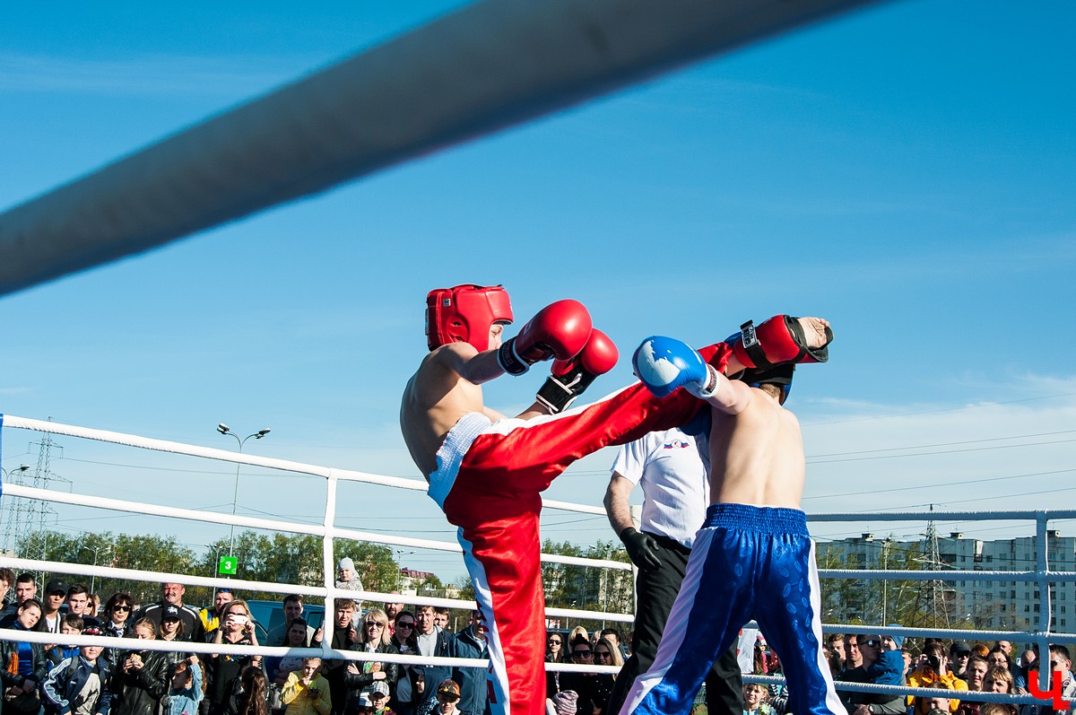 Чемпионат по кикбоксингу во Владимире