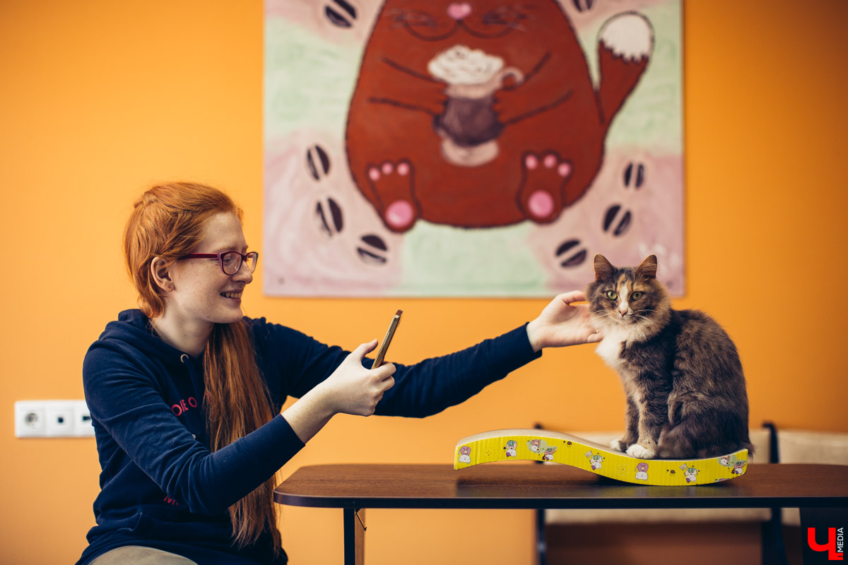 Сразу три места во Владимире объявили о своем закрытии. Мы выяснили, что же произошло