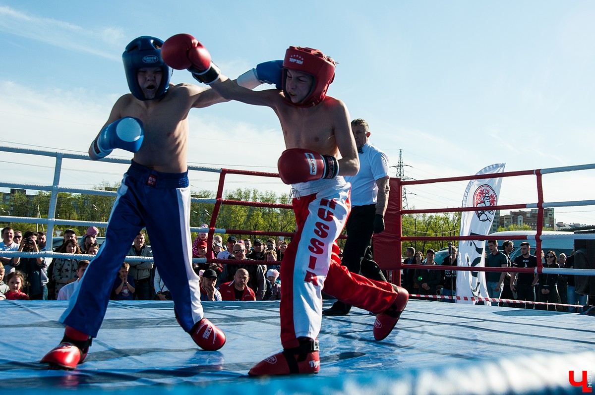Чемпионат по кикбоксингу во Владимире
