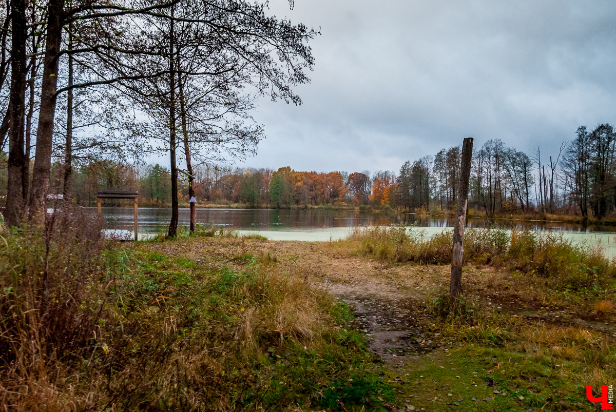 Загородный парк с Ярославом Чесноковым